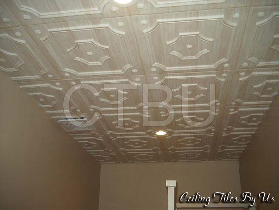 Pvc 2x2 Ceiling Tile Decorative 24 Ceiling Tiles 1000 Images