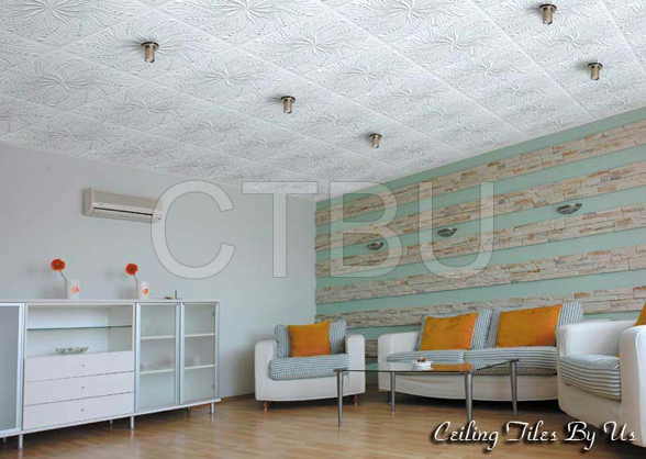 Styrofoam Tiles Installed Ceiling Tiles By Us