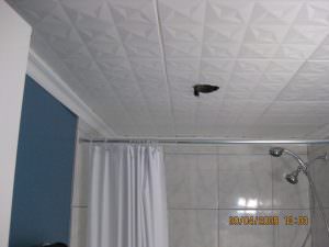 Styrofoam Ceiling Tile Glue Up Bathroom R 26