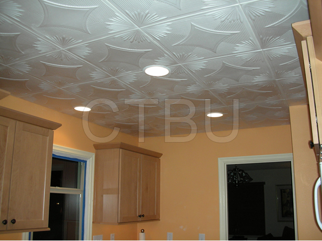 Styrofoam Ceiling Tile R-35